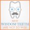 Why Wisdom Teeth Are Not So Wise (featured image)